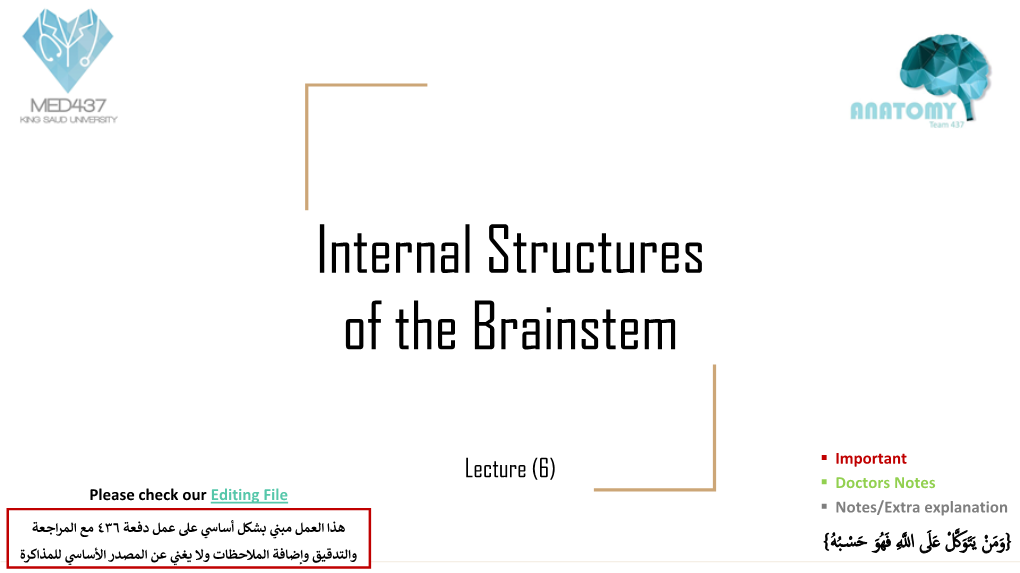 Internal Structures of the Brainstem