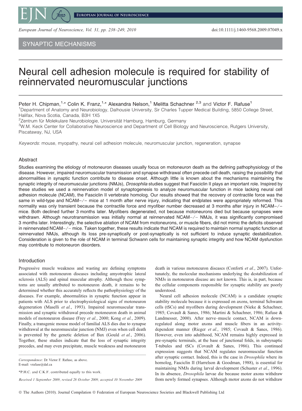 Neural Cell Adhesion Molecule Is Required for Stability of Reinnervated Neuromuscular Junctions