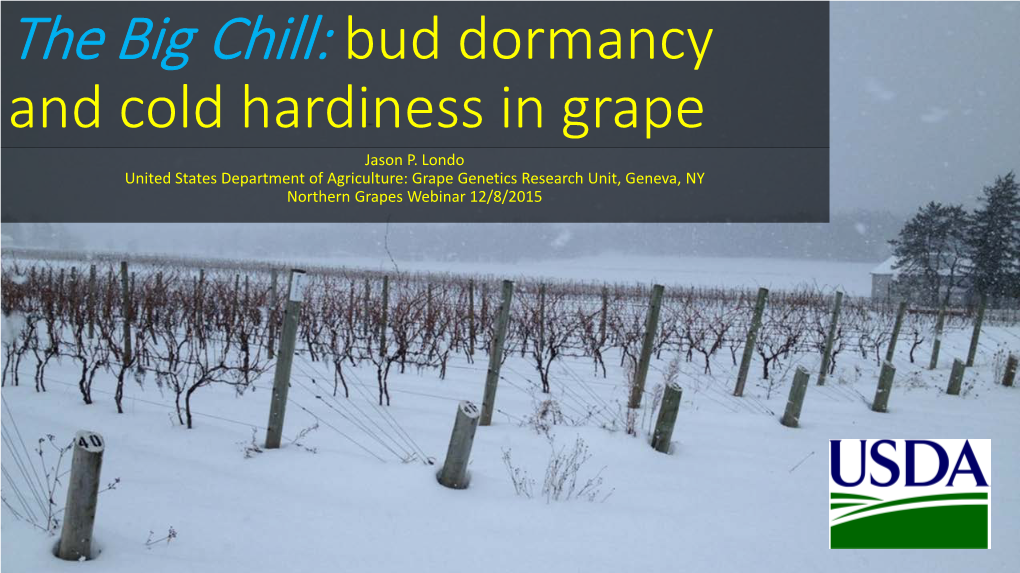 The Big Chill: Bud Dormancy and Cold Hardiness in Grape Jason P