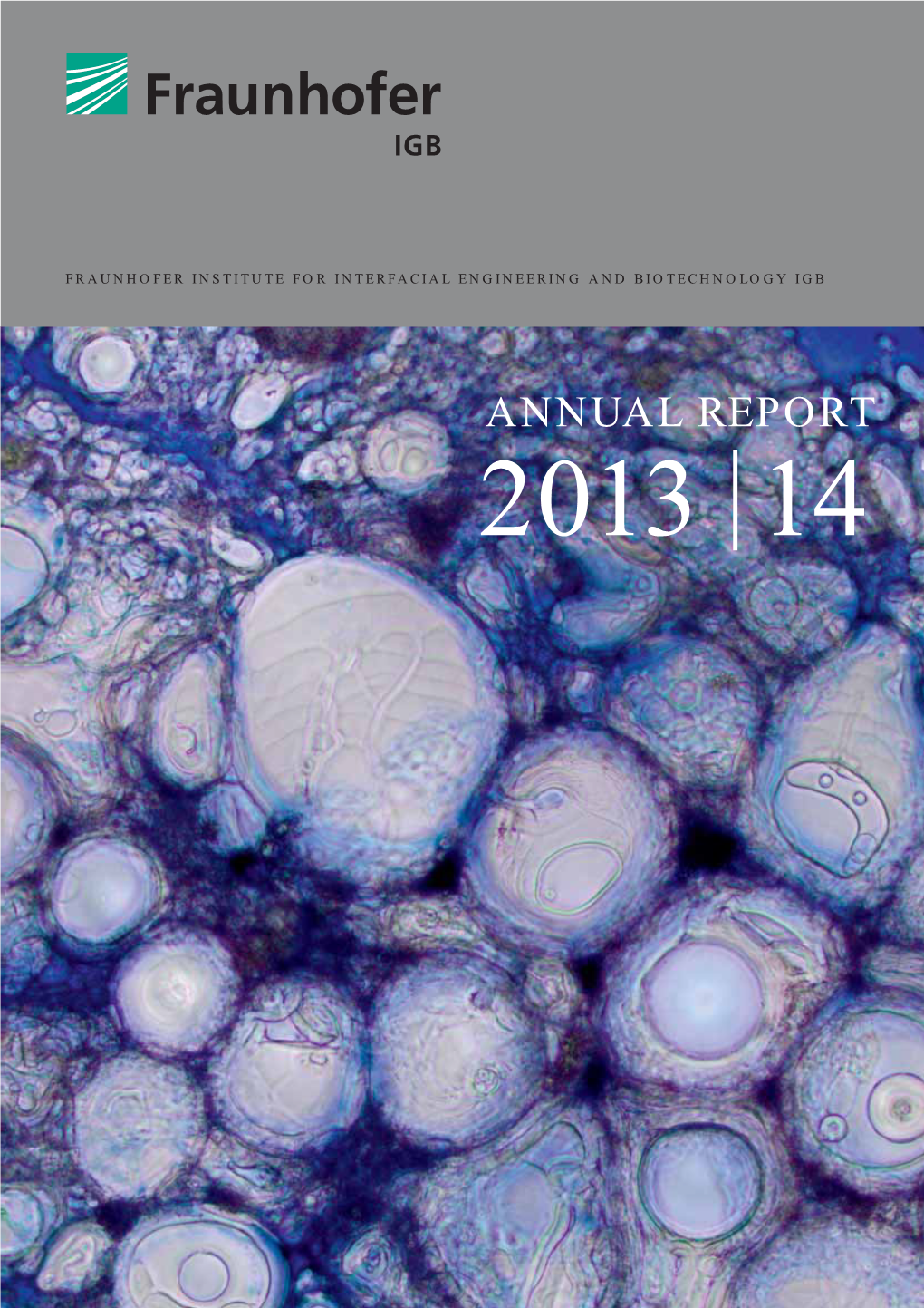 ANNUAL REPORT 2013 | 14 the Cover Picture Shows Giant Unilamellar Vesicles of Different Sizes in a Solution Stained with Trypan Blue