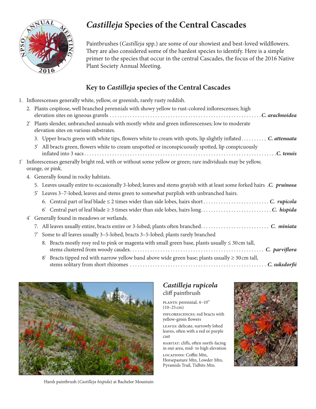 Castilleja Species of the Central Cascades