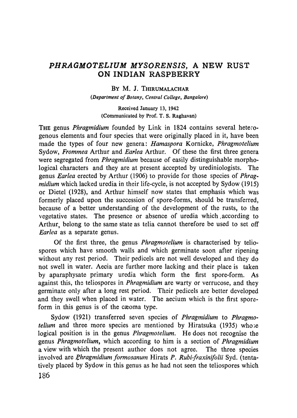 Phragmotelium Mysorensis, a New Rust on Indian Raspberry