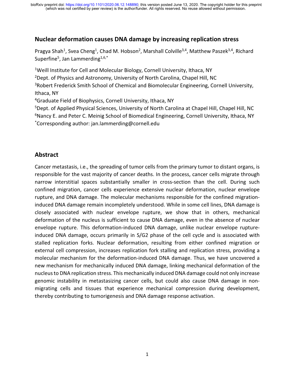 Nuclear Deformation Causes DNA Damage by Increasing Replication Stress Abstract