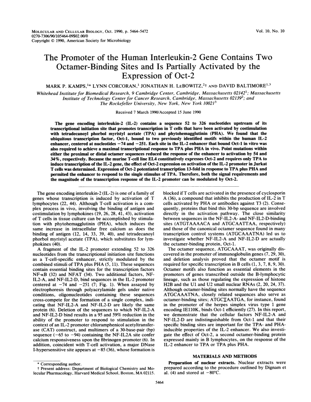 The Promoter of the Human Interleukin-2 Gene Contains Two Octamer-Binding Sites and Is Partially Activated by the Expression of Oct-2 MARK P