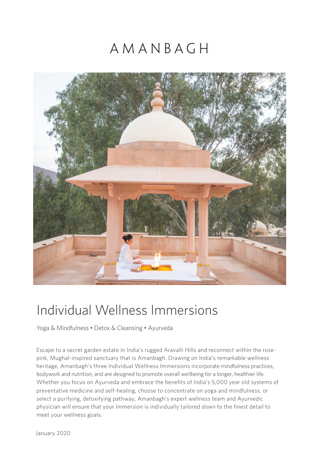 View Wellness Immersions Brochure