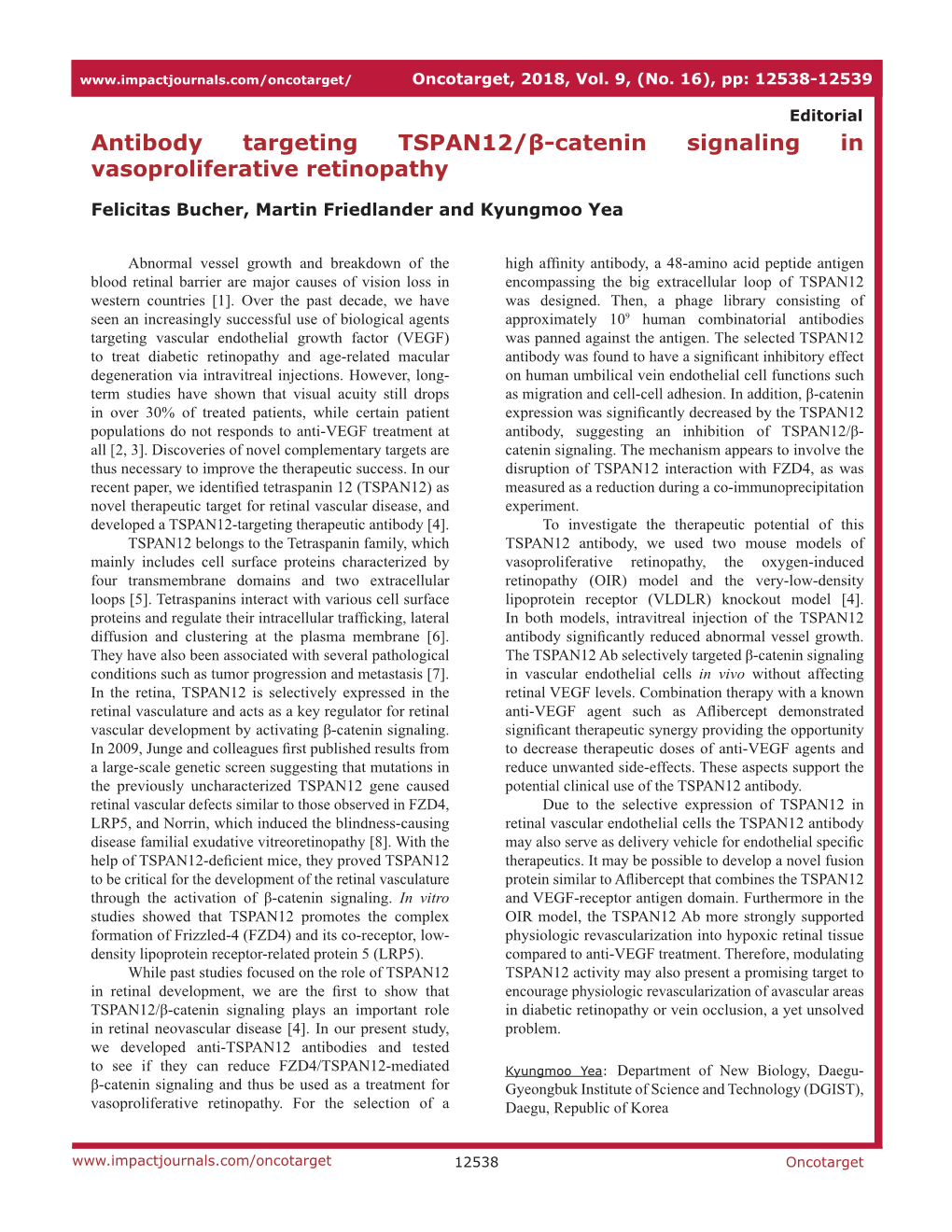 Antibody Targeting TSPAN12/Β-Catenin Signaling in Vasoproliferative Retinopathy