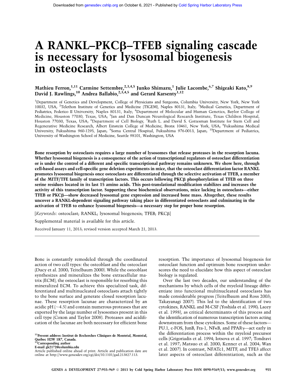 A RANKL–Pkcb–TFEB Signaling Cascade Is Necessary for Lysosomal Biogenesis in Osteoclasts