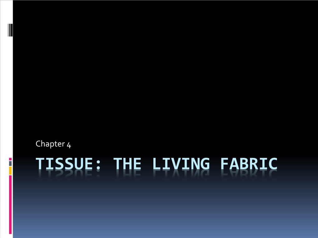 Tissue: the Living Fabric