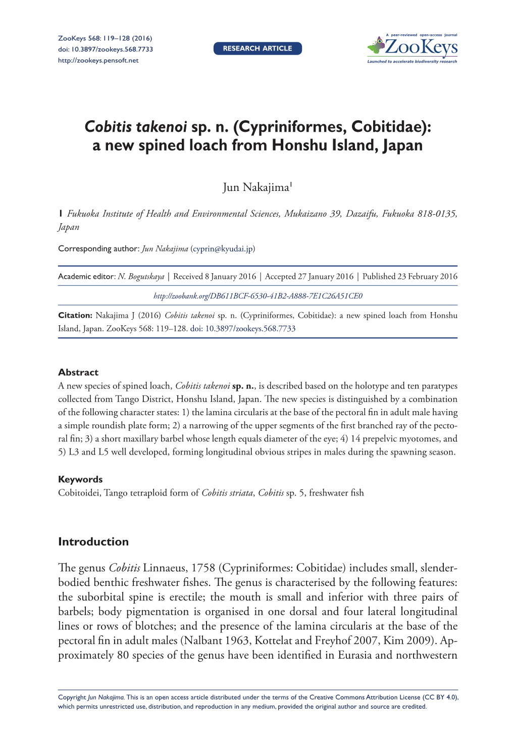 Cobitis Takenoi Sp. N. (Cypriniformes, Cobitidae): a New Spined Loach from Honshu Island, Japan