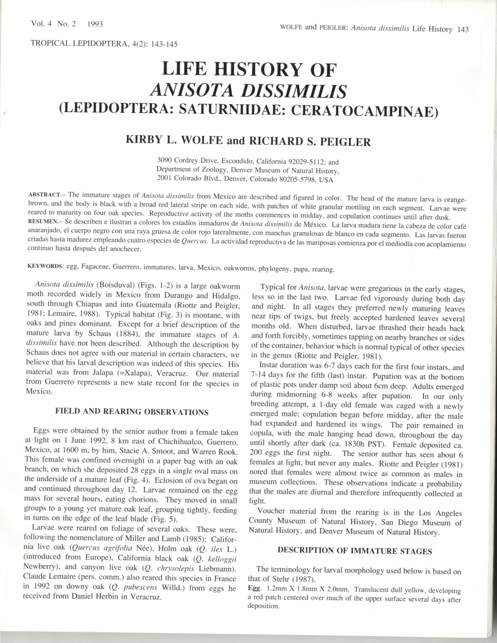 Life History of Anisota Dissimilis (Lepidoptera: Saturniidae: Ceratocampinae)