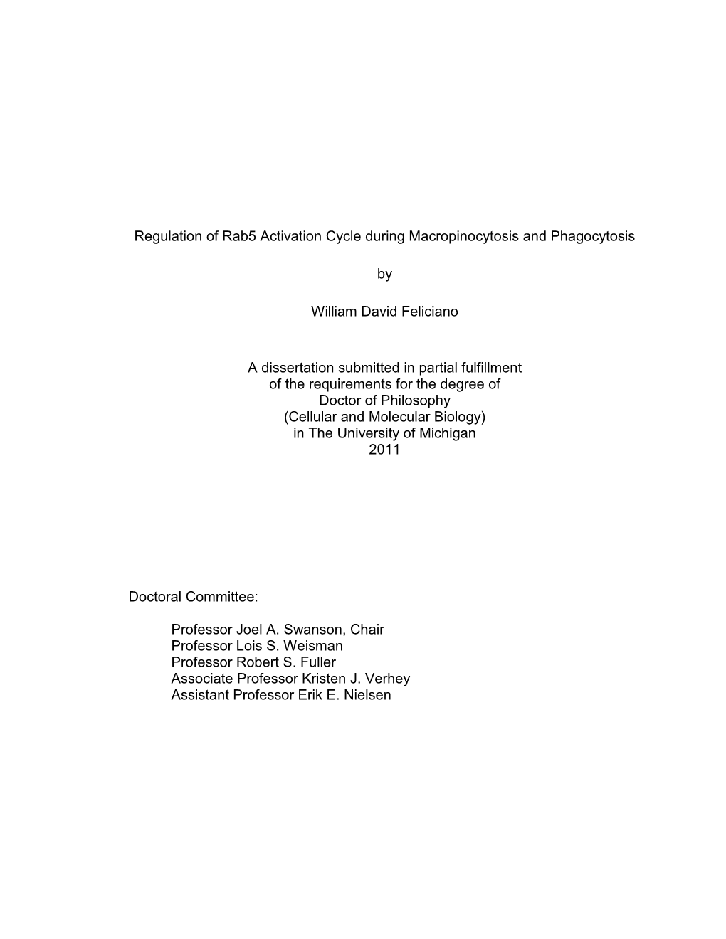 Regulation of Rab5 Activation Cycle During Macropinocytosis and Phagocytosis