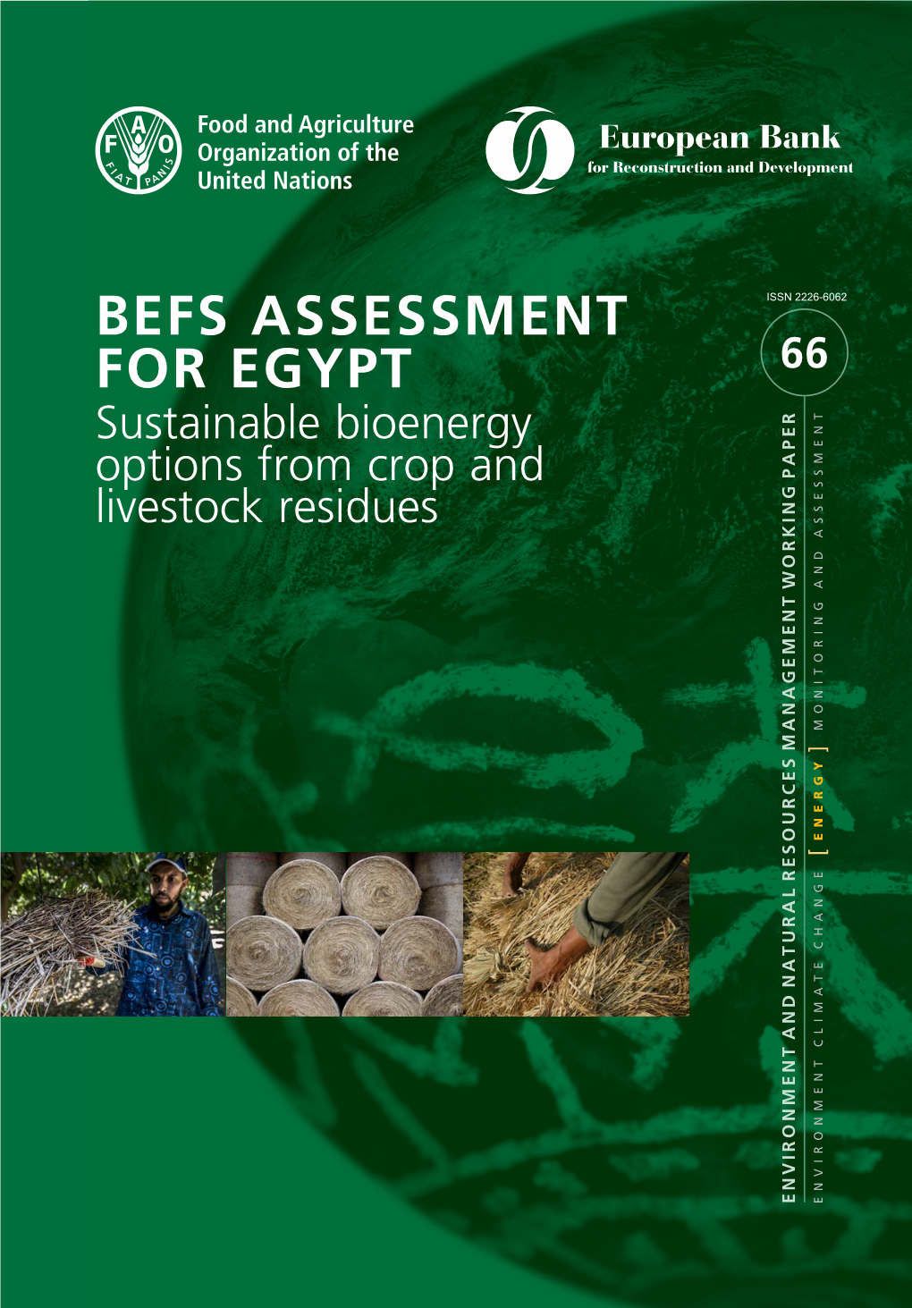 BEFS Assessment for Egypt