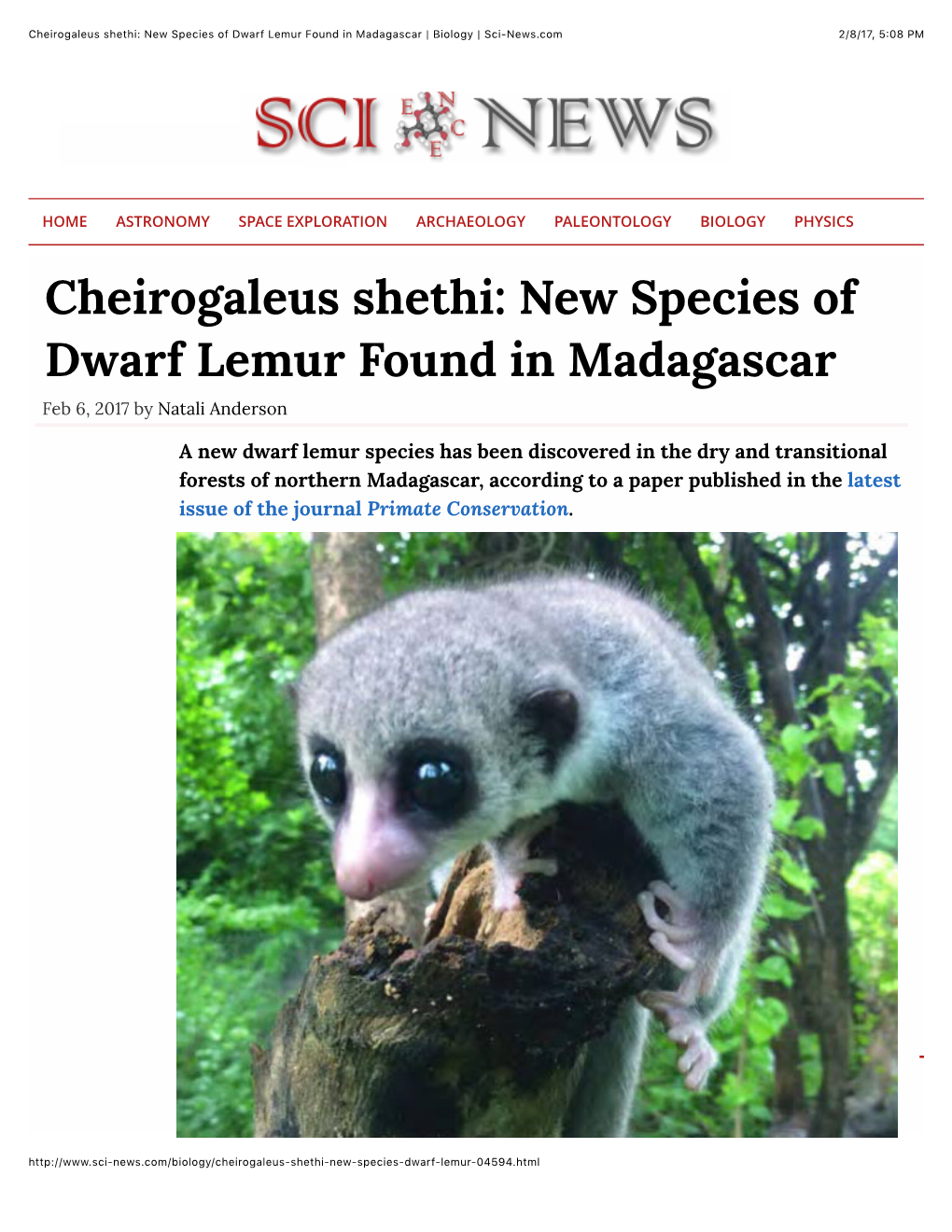 Cheirogaleus Shethi: New Species of Dwarf Lemur Found in Madagascar | Biology | Sci-News.Com 2/8/17, 5�08 PM