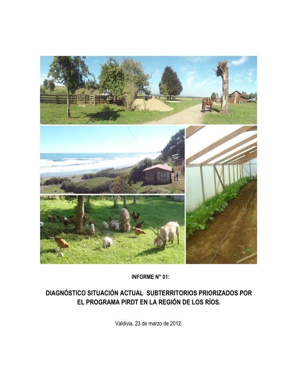 Informe N° 1 Diagnóstico Situación Actual Territorios Priorizados Programa PIRDT Región De Los Ríos