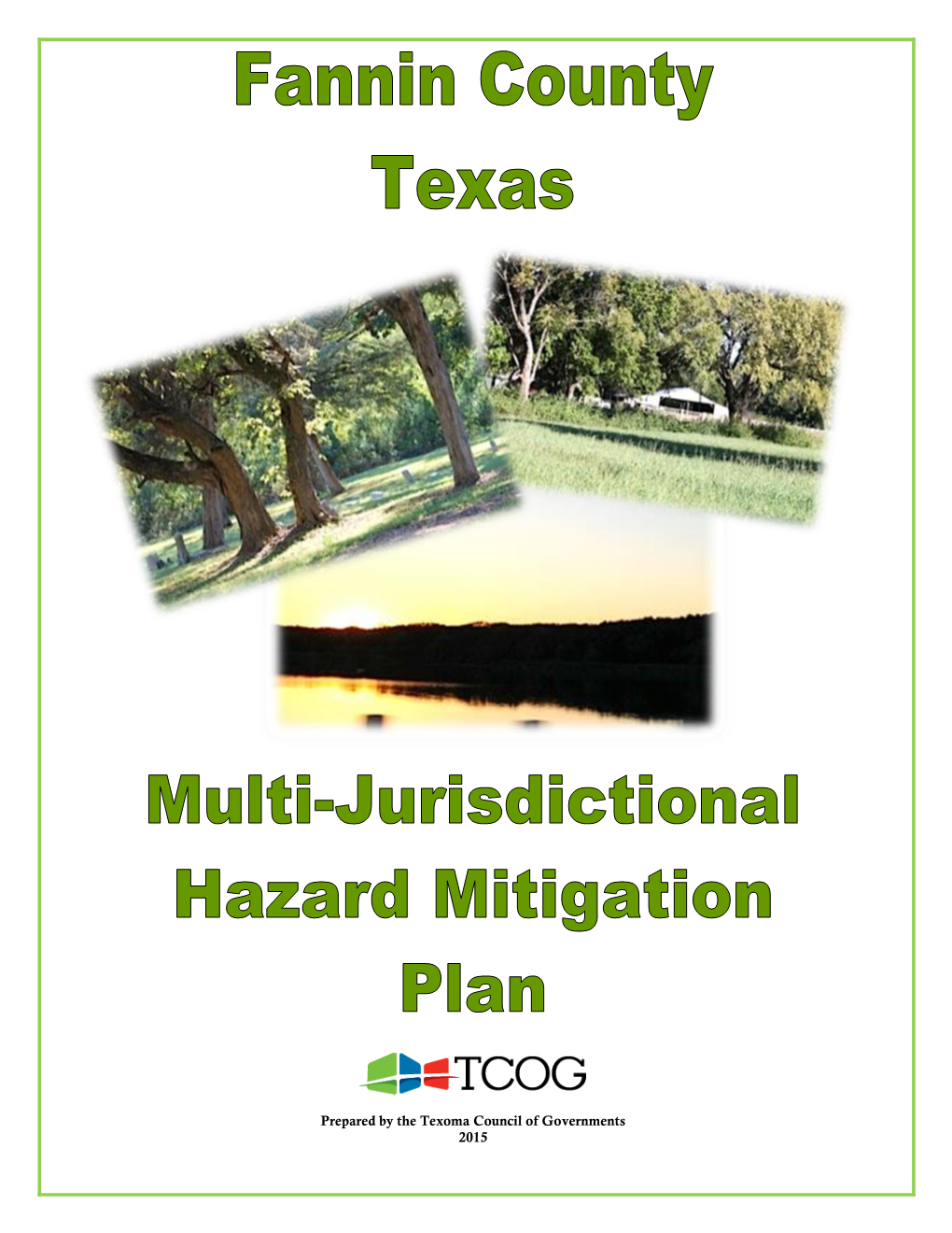 Fannin County Multi-Jurisdictional Hazard Mitigation Plan Page 2