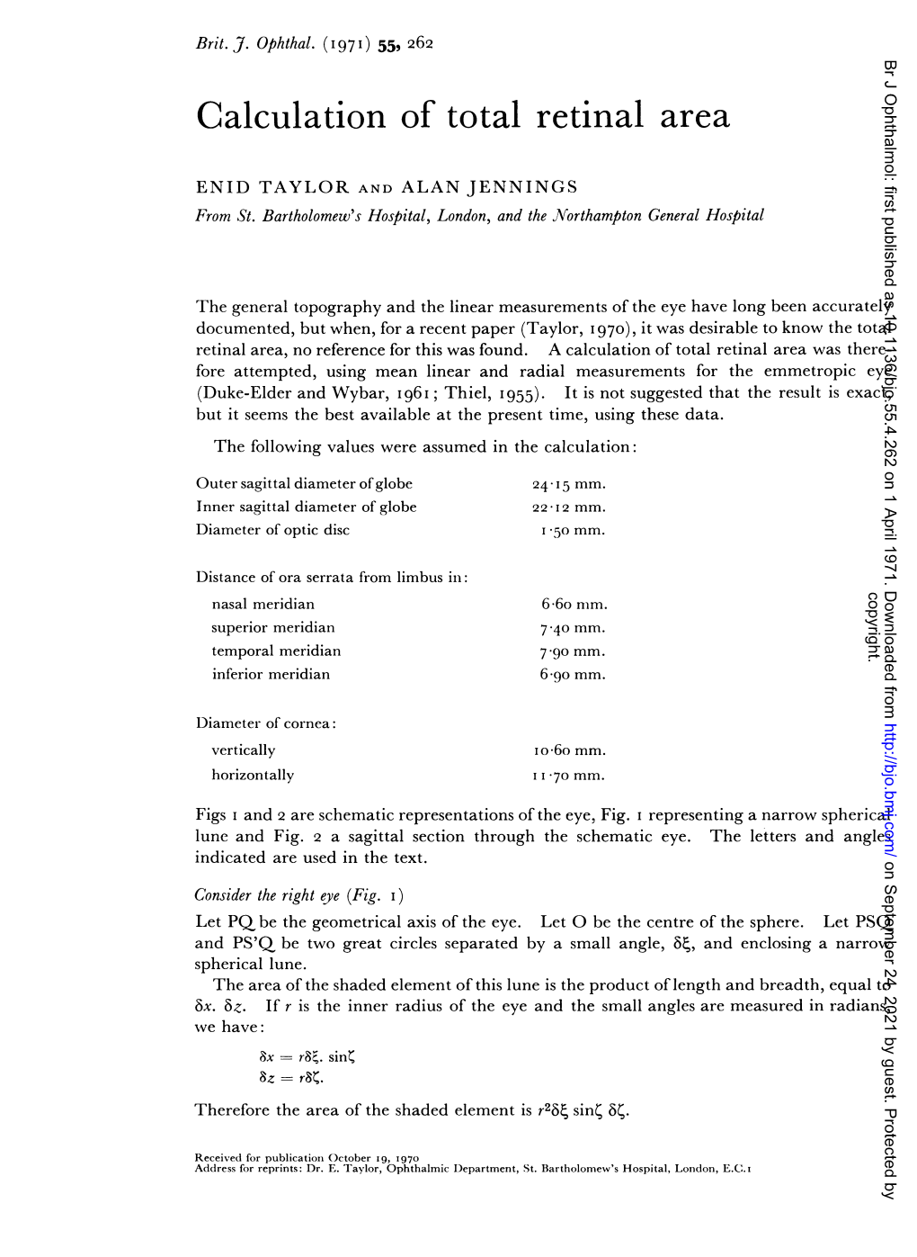 Calculation of Total Retinal Area