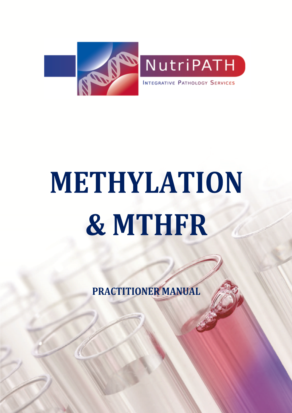 Methylation & Mthfr