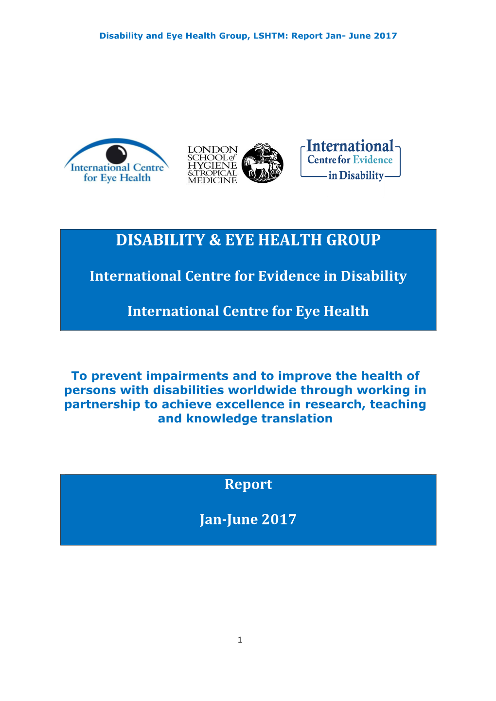 Disability & Eye Health Group