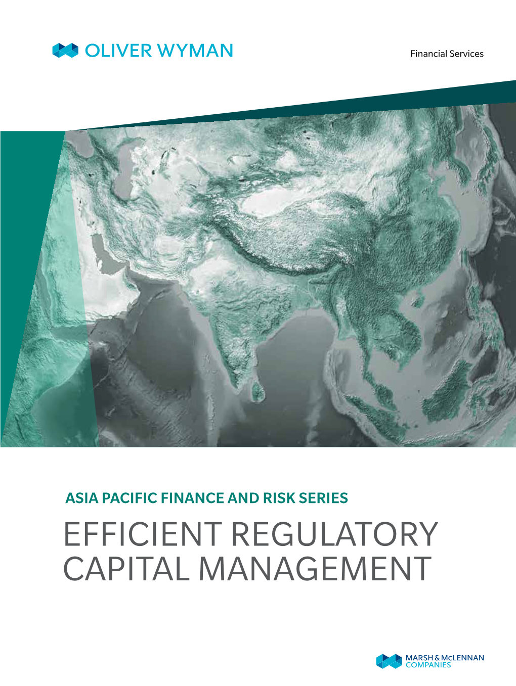 Efficient Regulatory Capital Management Introduction