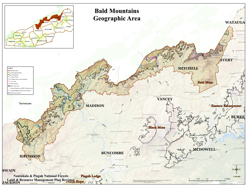 MADISON BUNCOMBE YANCEY MCDOWELL HAYWOOD AVERY MITCHELL BURKE WATAUGA SWAIN JACKSON Bald Mtns Black Mtns Eastern Escarpment Nort