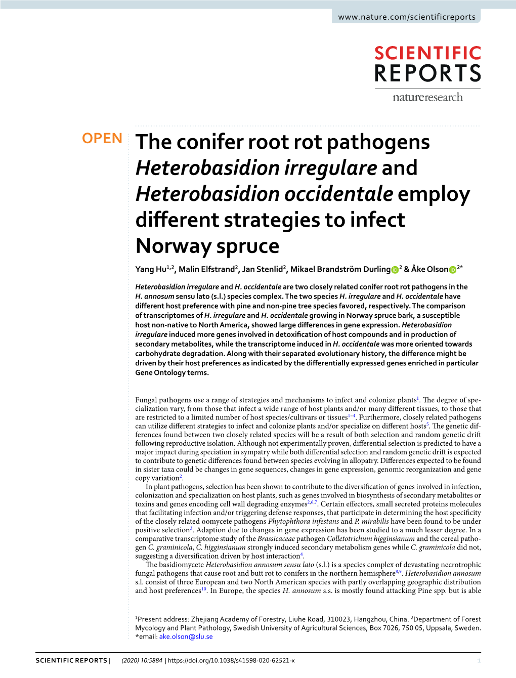 The Conifer Root Rot Pathogens Heterobasidion Irregulare And