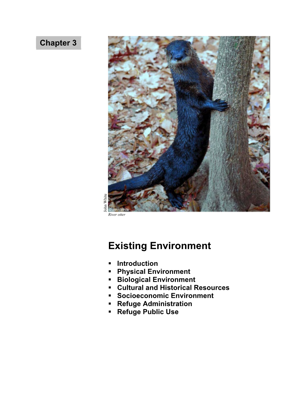 Chapter 3 Existing Environment