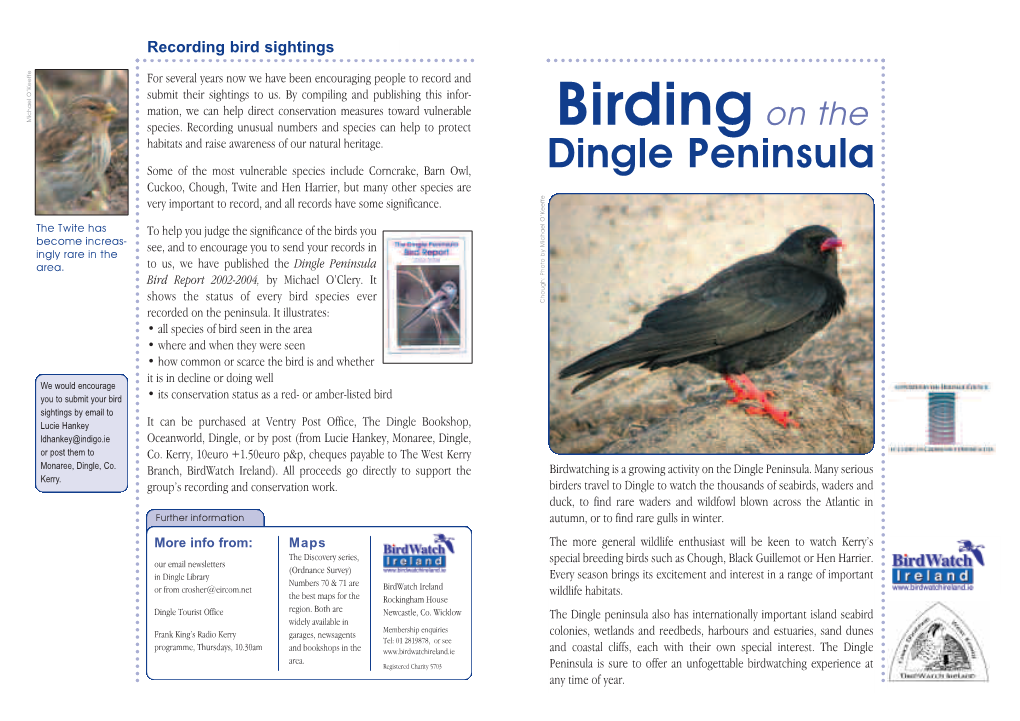 Bird Watching on the Dingle Peninsula