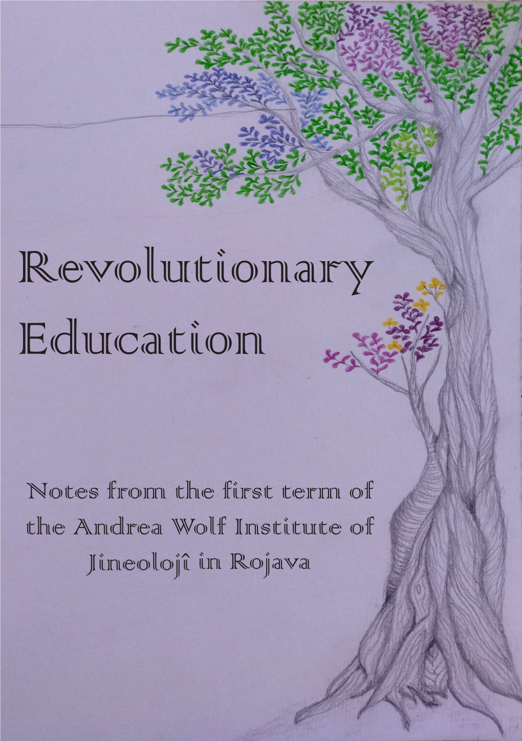 Revolutionary Education