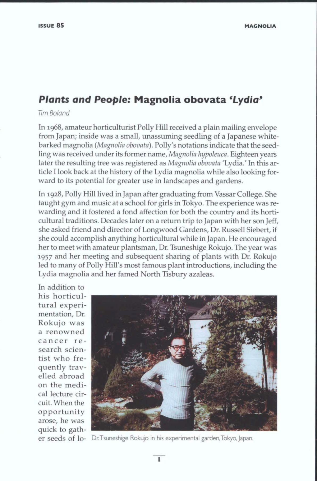 Plants and People: Magnolia Obovata 'Lydia'