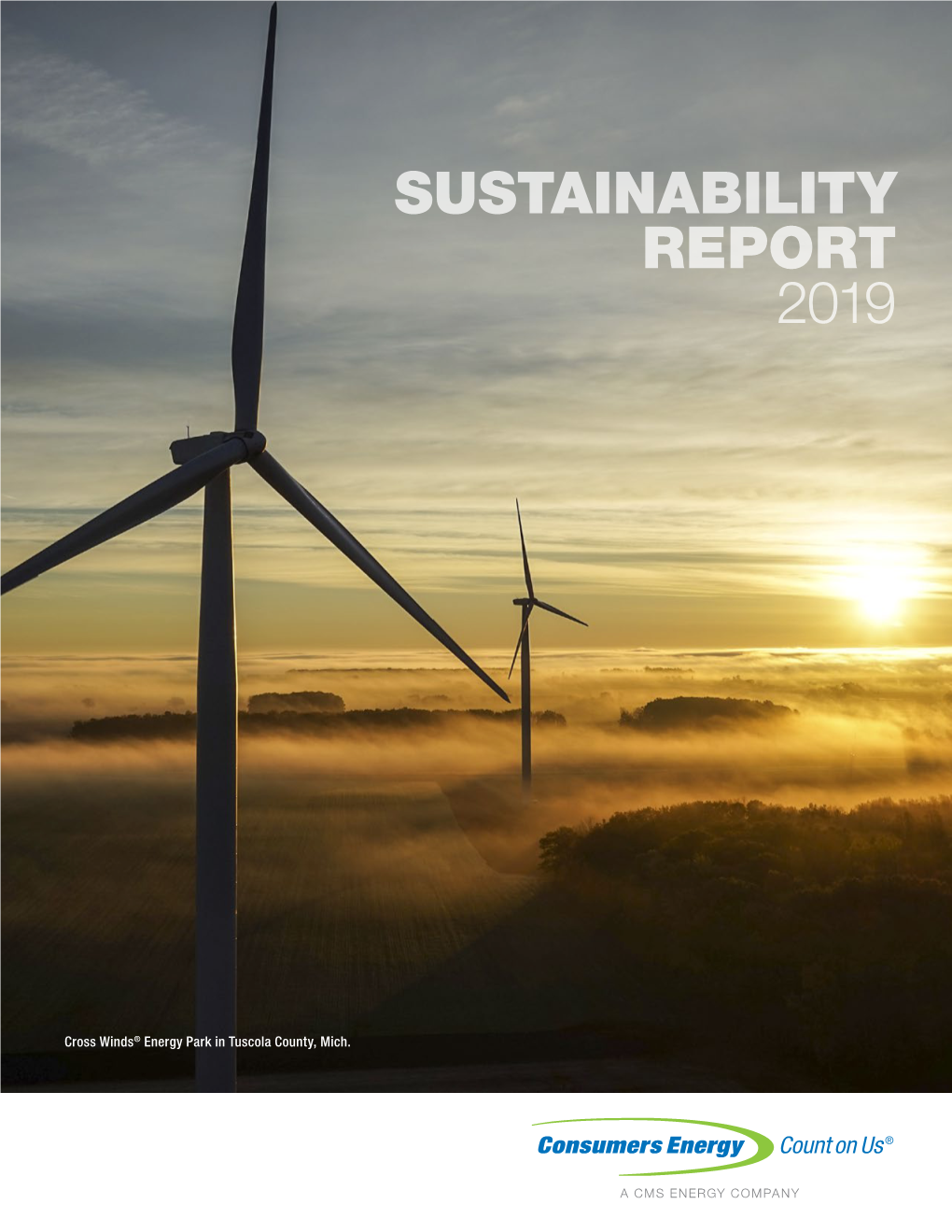 2019 Sustainability Report • 1