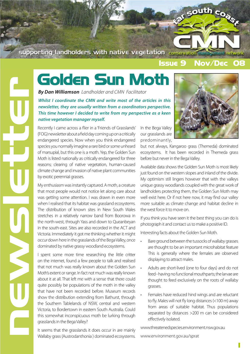 Golden Sun Moth