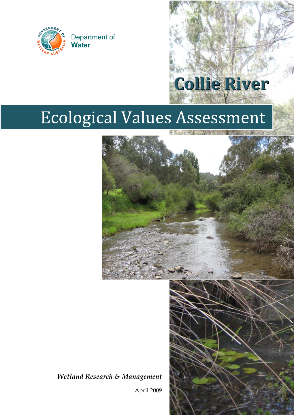 Collie River Ecological Values Assessment, 2008