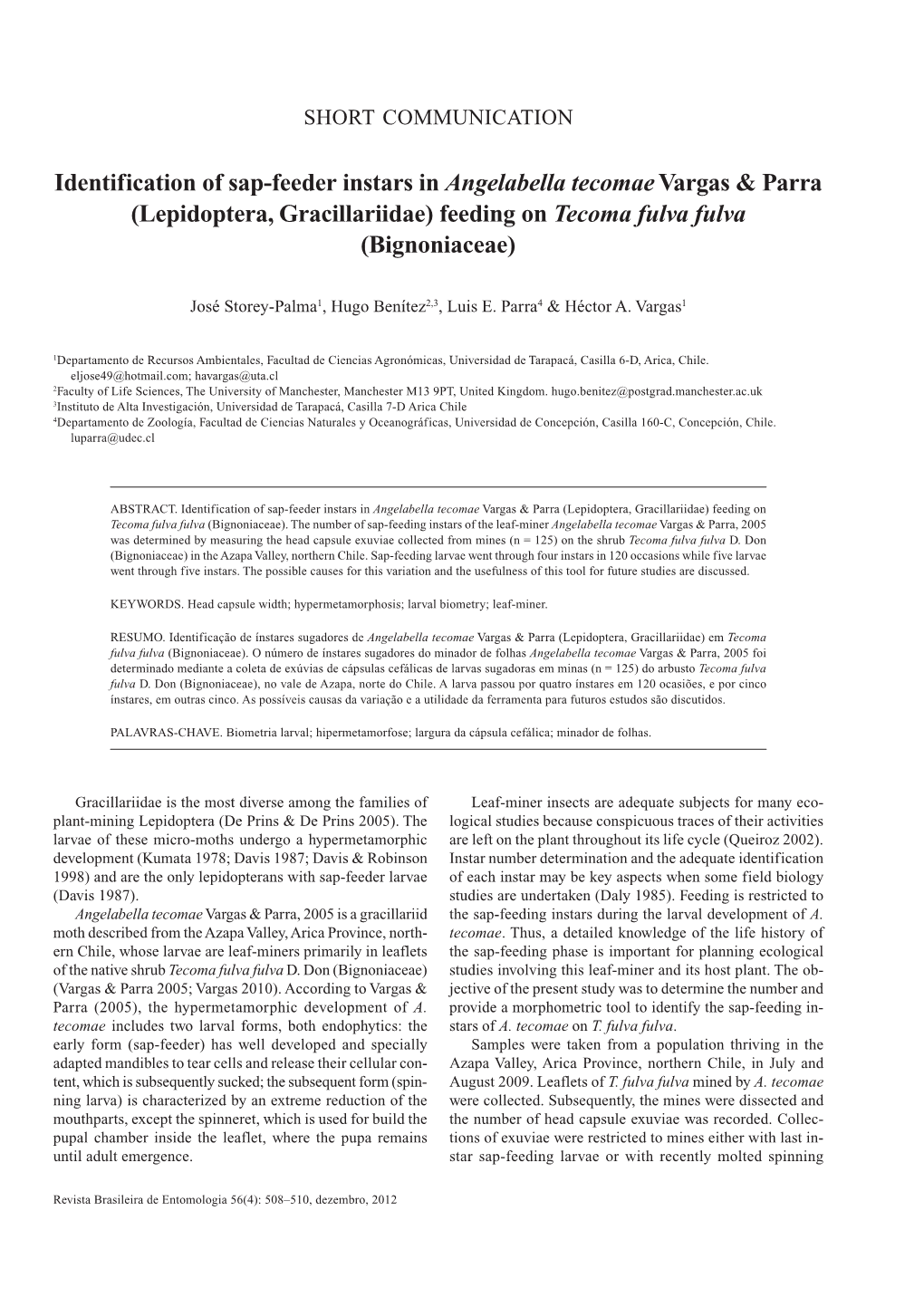 Identification of Sap-Feeder Instars in Angelabella Tecomaevargas