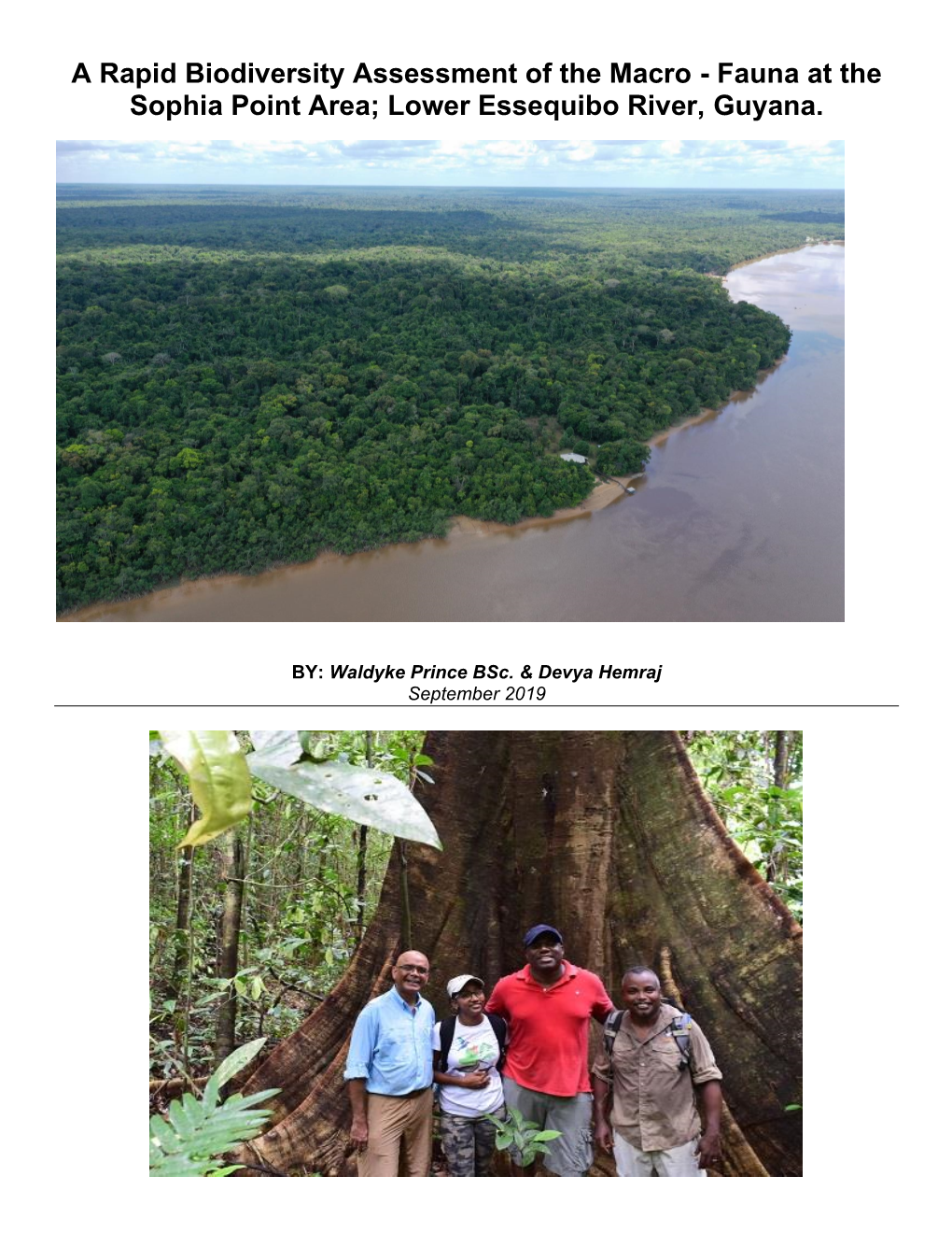 Fauna at the Sophia Point Area; Lower Essequibo River, Guyana