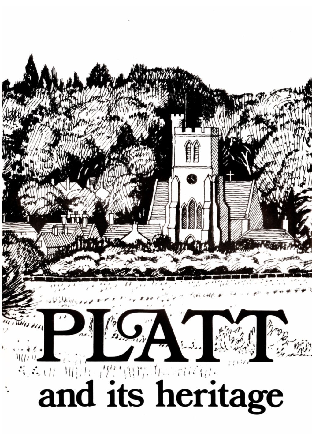 Platt History.Pdf