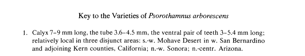 Arizona Plant Appears Below As Ps. Arborescens Var. Pubescens. Key to the Varieties of Psorothamnus Arborescens 1. Calyx 7-9 Mm