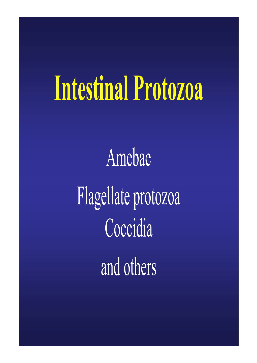 Intestinal-Protozoa.Pdf