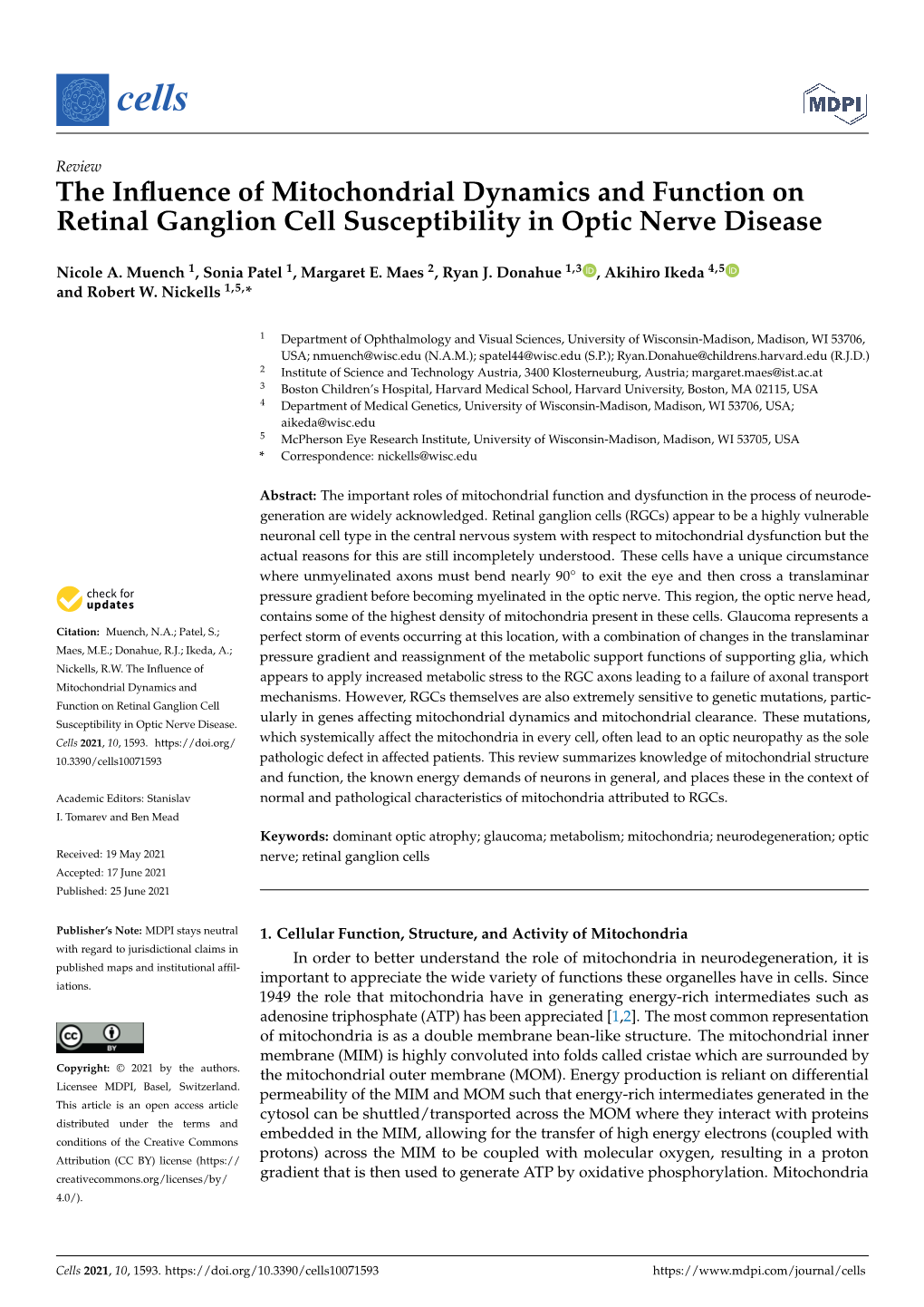 The Influence of Mitochondrial Dynamics and Function on Retinal