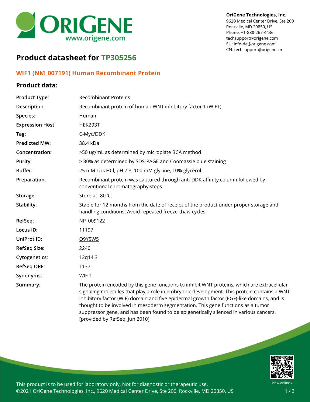 WIF1 (NM 007191) Human Recombinant Protein Product Data