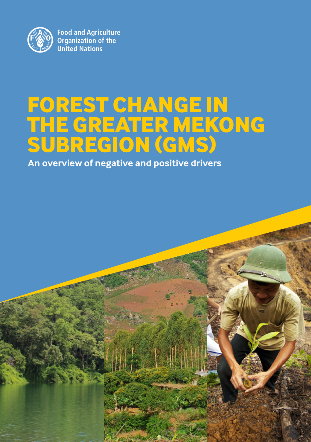 FOREST CHANGE in the GREATER MEKONG SUBREGION (GMS): an Overview of Negative and Positive Drivers