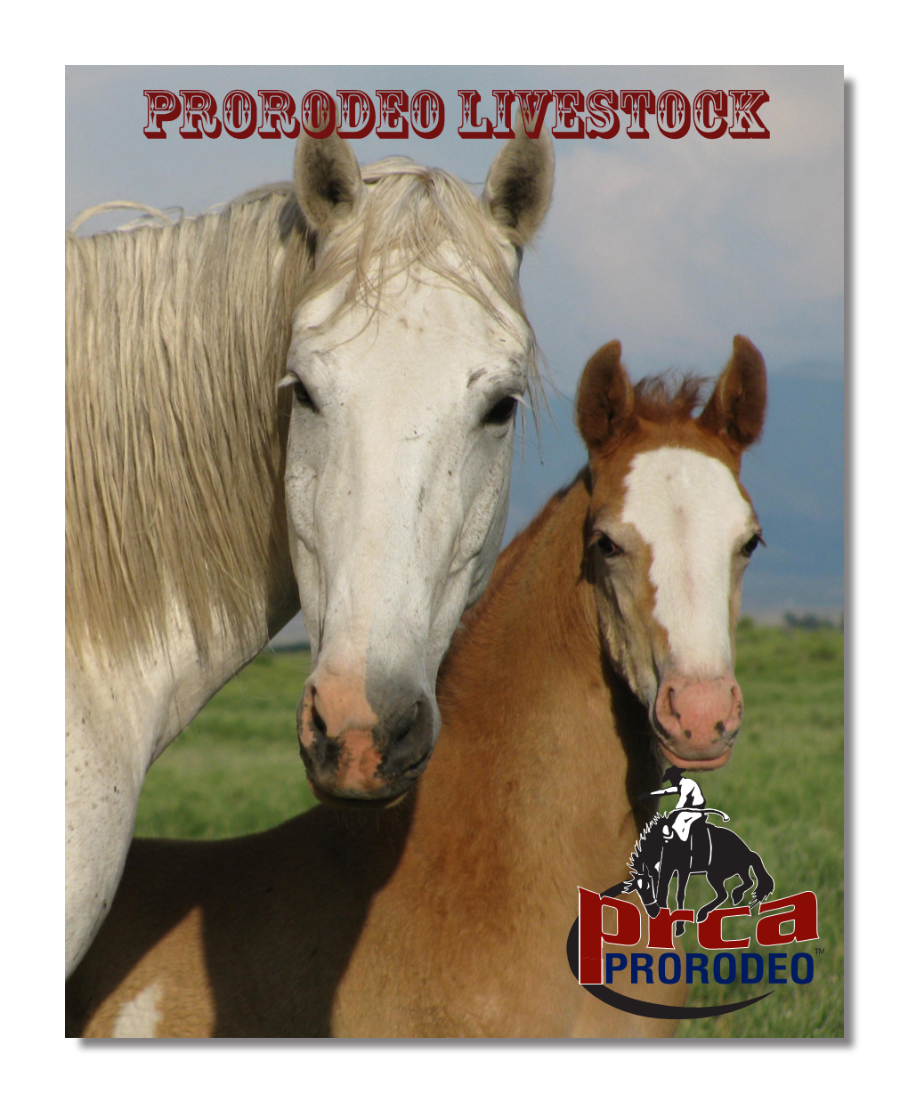 Prorodeo Livestock Rodeo Livestock Quick Facts Bthe Professional Rodeo Cowboys Association (PRCA) Has Strict Standards in Place to Protect the Livestock