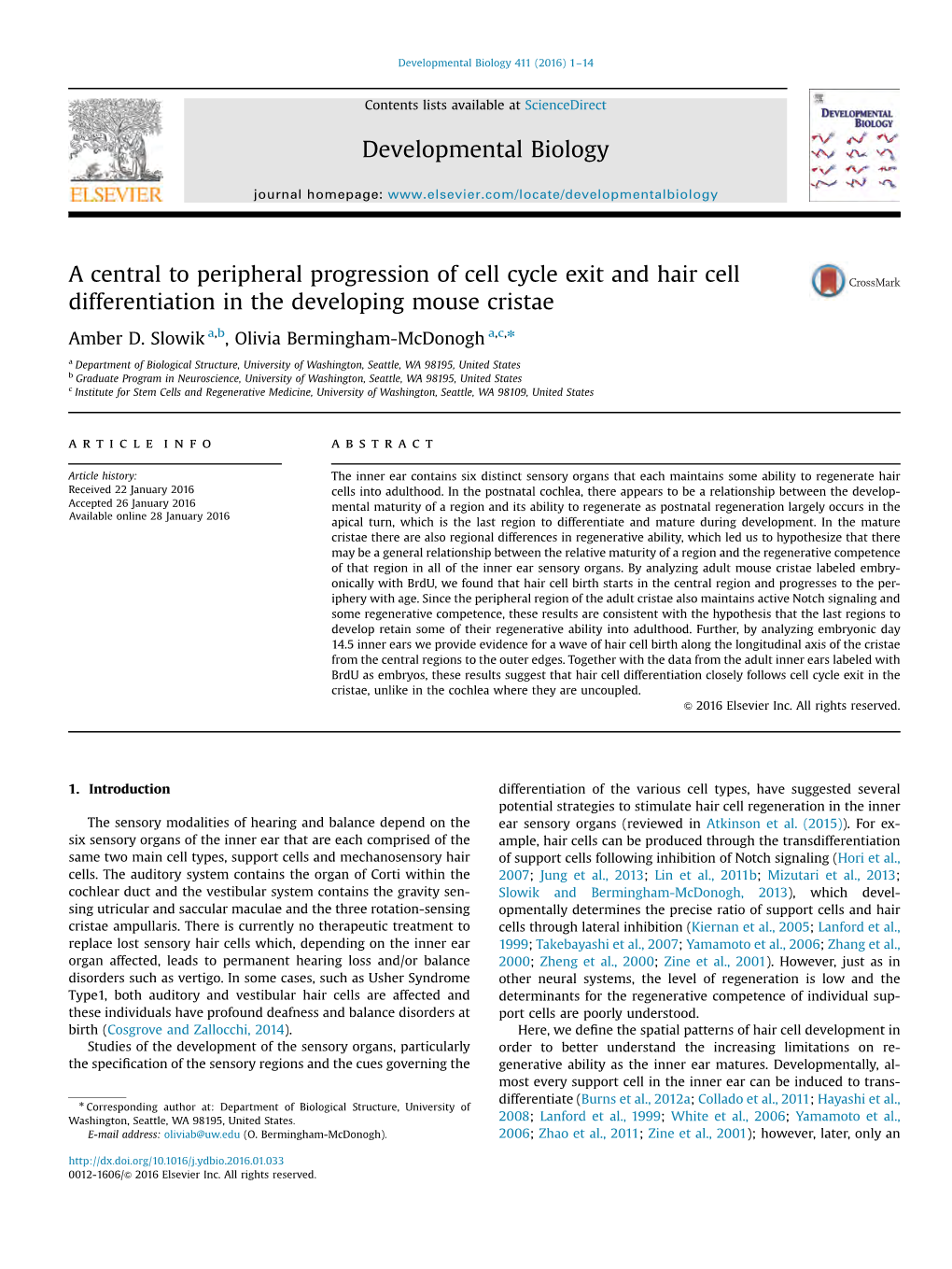 A Central to Peripheral Progression of Cell Cycle Exit and Hair Cell Differentiation in the Developing Mouse Cristae