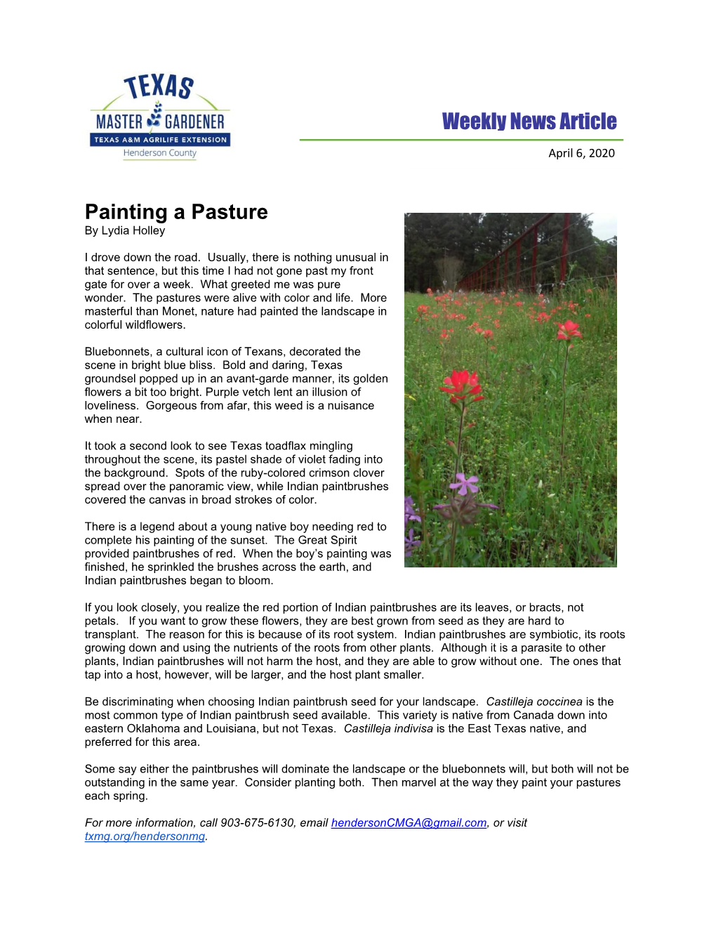 Painting a Pasture Weekly News Article