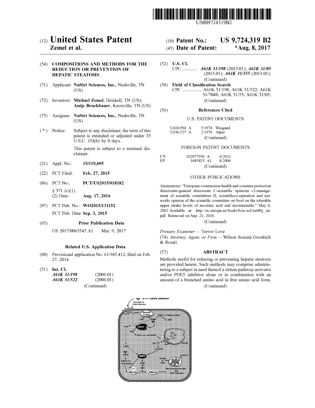 (12) United States Patent (10) Patent No.: US 9,724,319 B2 Zemel Et Al