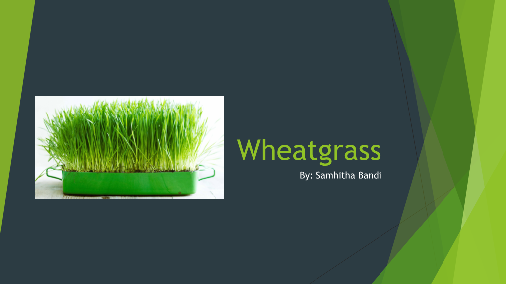 Wheatgrass By: Samhitha Bandi What Is Wheatgrass?