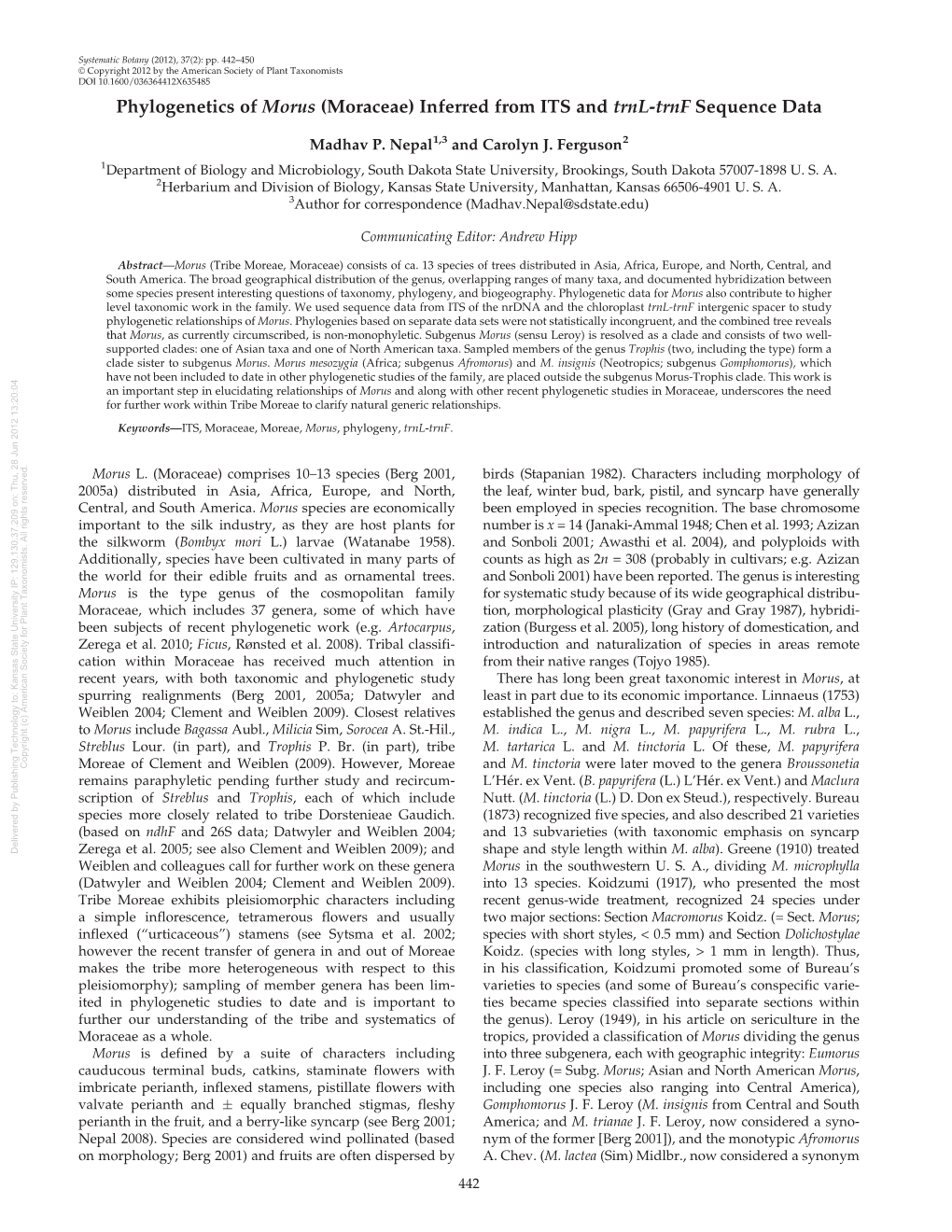 Phylogenetics of Morus (Moraceae)