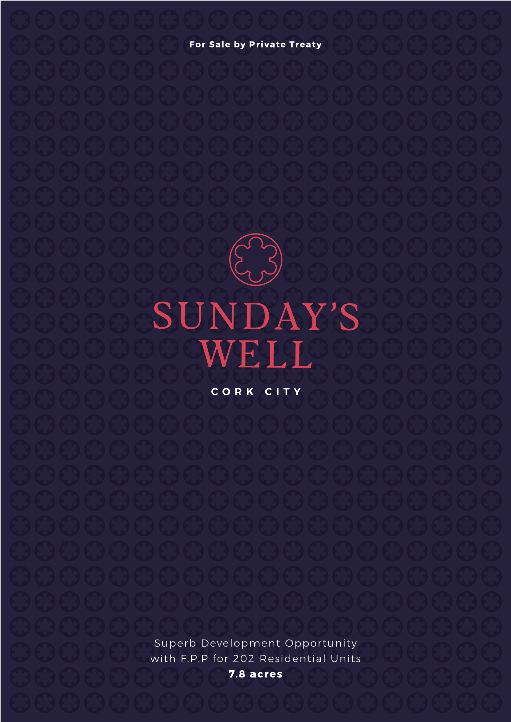 Sunday's Well