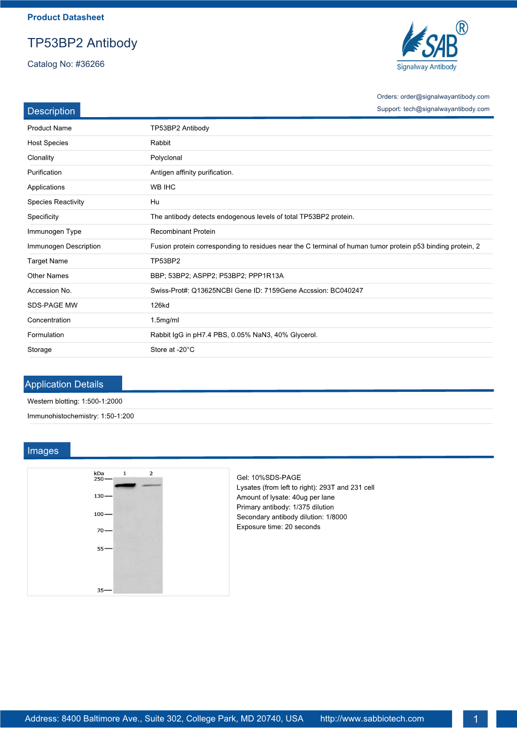 TP53BP2 Antibody