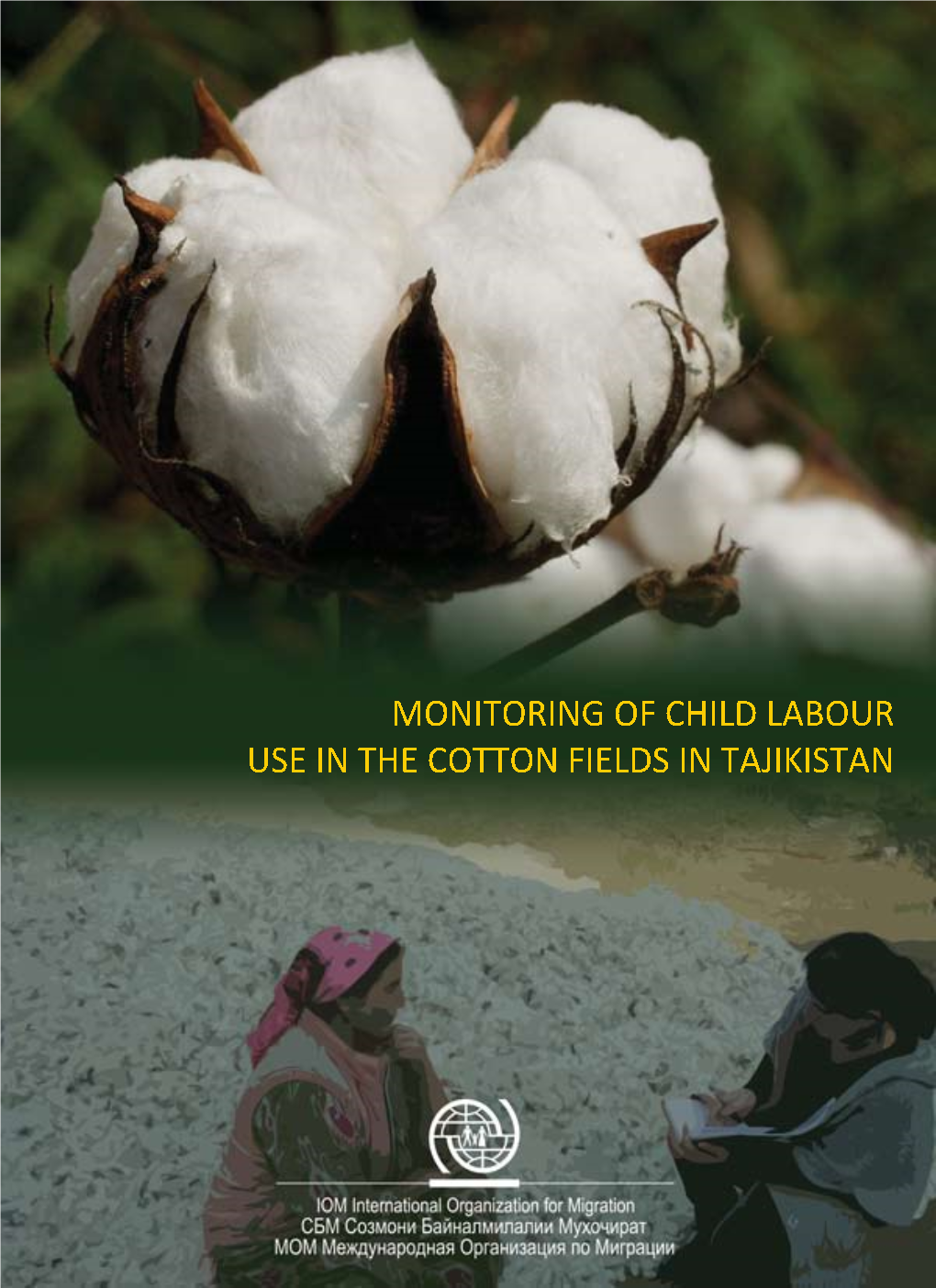 Cotton-Eng.Pdf