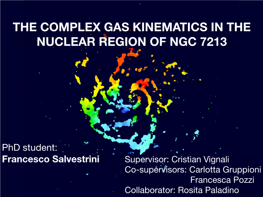 The Complex Gas Kinematics in the Nuclear Region of Ngc 7213